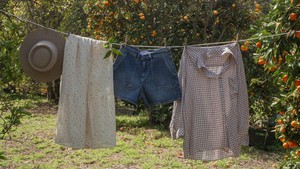 14 Best Free Websites to Live Sustainably (& Realistically)