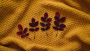 What Are the Most Sustainable Fabrics? Oh, Sew Eco-Friendly!