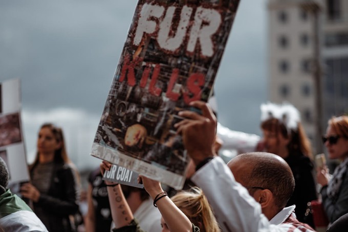 Crowd protesting and boycotting a fashion company