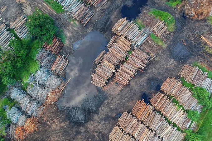 Example of deforestation