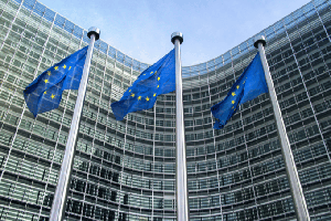 Sustainable Fashion Lobbying in the EU: Good or Bad News?