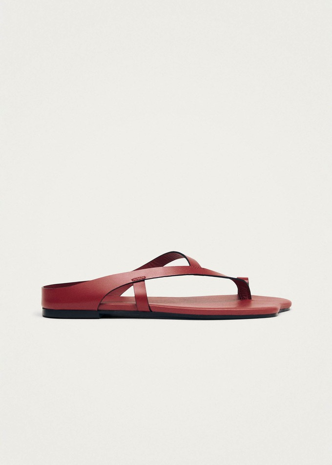 Dawn Red Leather Sandals from Alohas