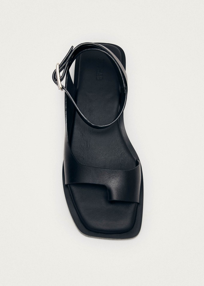 Tebas Black Leather Sandals from Alohas