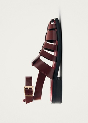Perry Sleek Burgundy Leather Sandals from Alohas