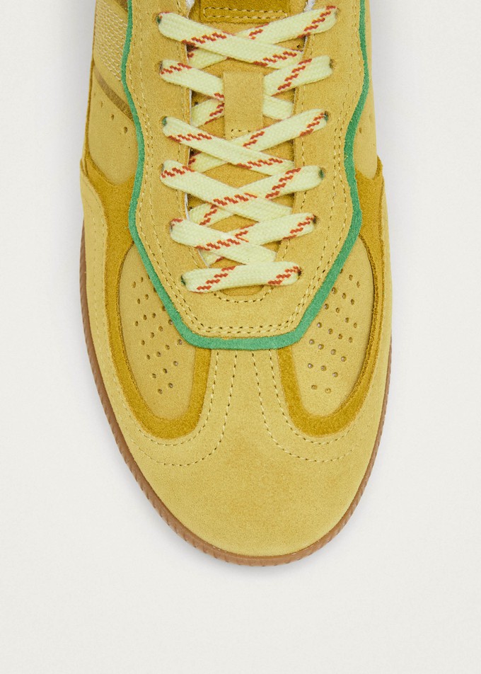 Tb.490 Rife Pale Yellow Leather Sneakers from Alohas