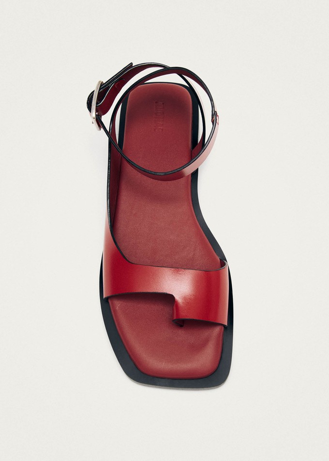Tebas Red Leather Sandals from Alohas