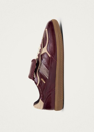 Tb.490 Club Deep Burgundy Patent Leather Sneakers from Alohas