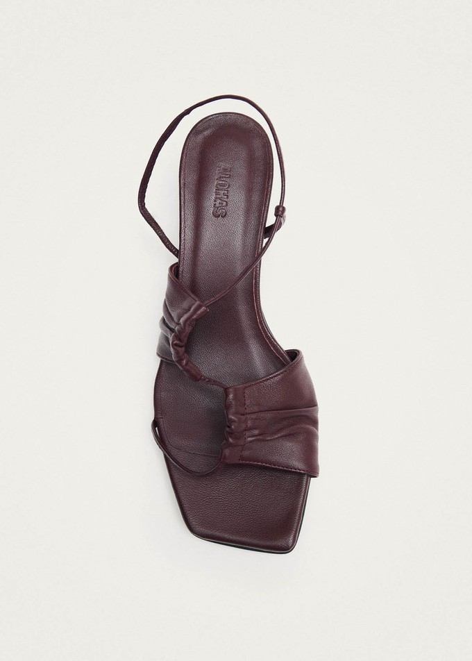 Juniper Burgundy Leather Sandals from Alohas