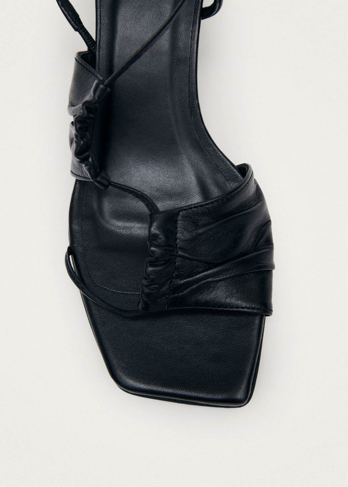 Juniper Black Leather Sandals from Alohas