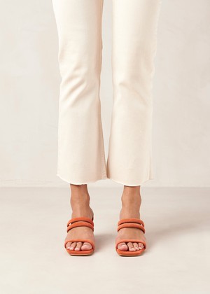 Indiana Pomelo Orange Leather Sandals from Alohas