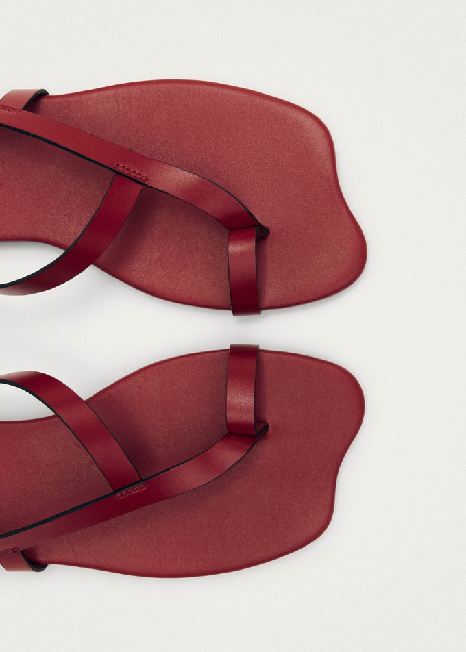 Dawn Red Leather Sandals from Alohas