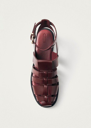 Perry Sleek Burgundy Leather Sandals from Alohas