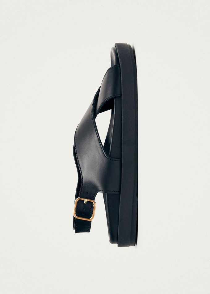 Nico Black Leather Sandals from Alohas