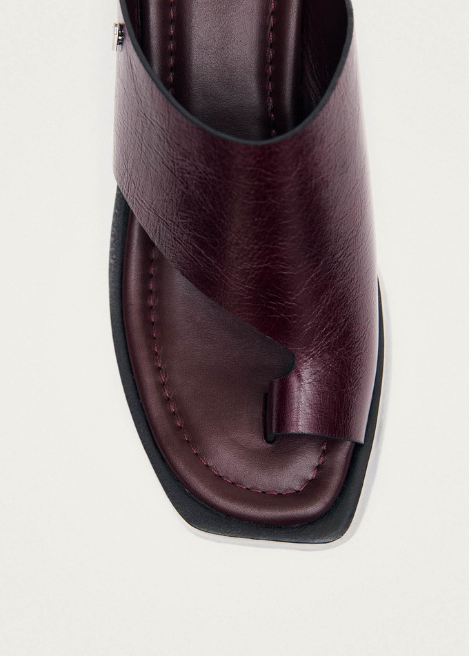 Nova Rift Burgundy Leather Sandals from Alohas