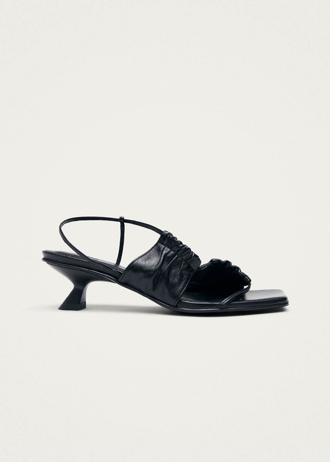 Juniper Black Leather Sandals from Alohas