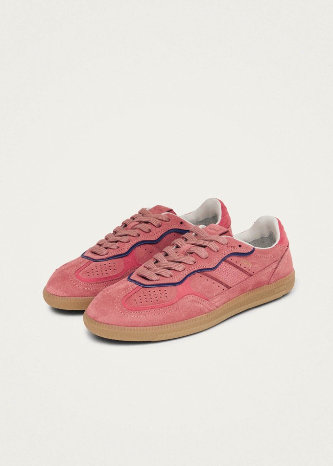 Tb.490 Rife Pink Leather Sneakers from Alohas