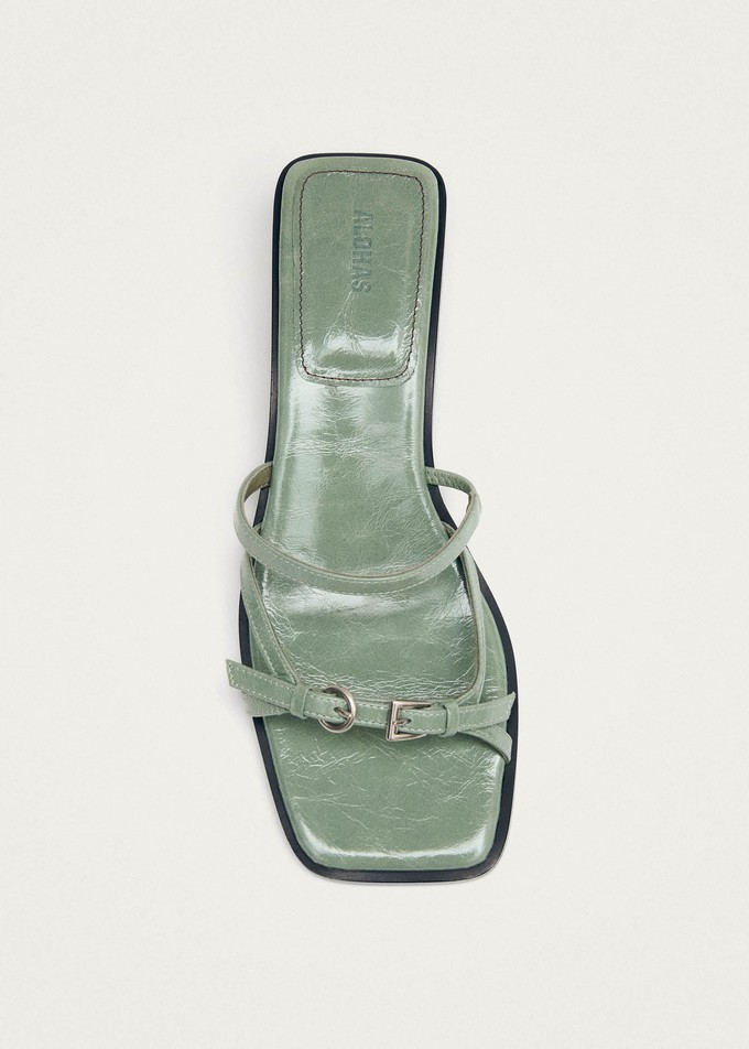 Liko Patent Matcha Leather Sandals from Alohas