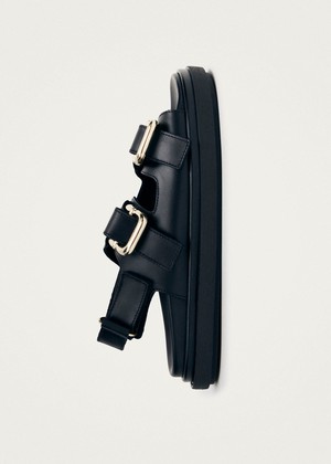 Harper Black Sandal from Alohas