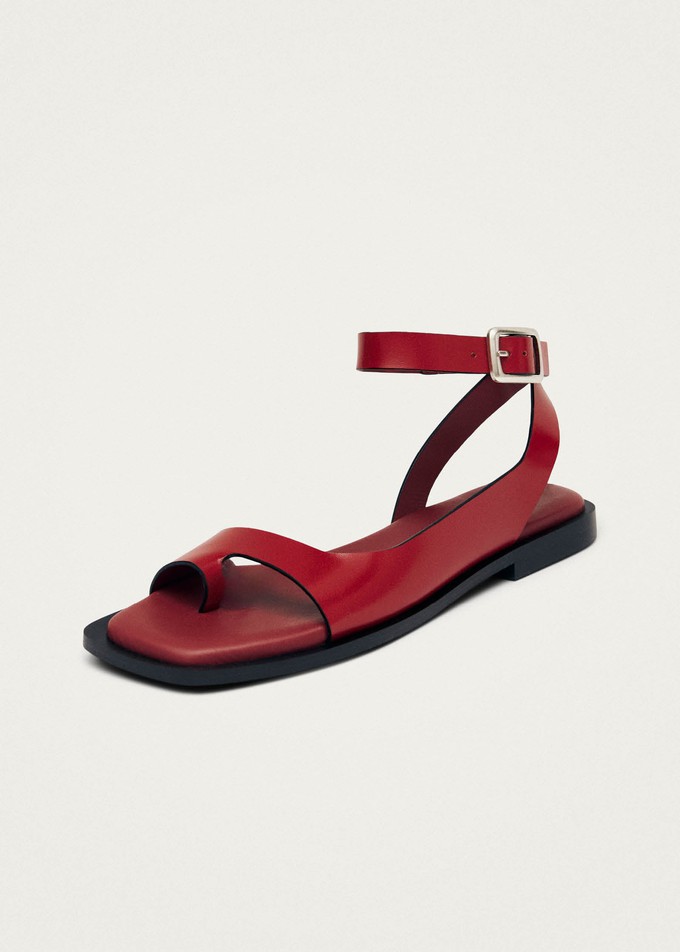 Tebas Red Leather Sandals from Alohas