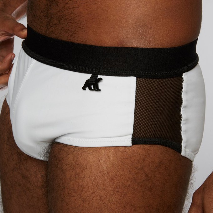 AS 02.22 dolphin DD plain01 white from arctic seas