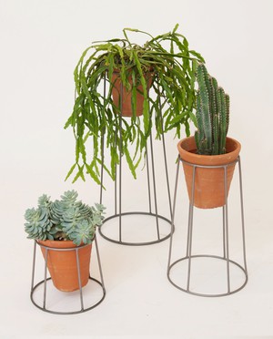 Chrome Plant Stand from Beaumont Organic