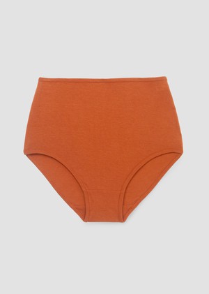 Yoka Bamboo & Organic Cotton Blend High Waist Briefs in Terracotta from Beaumont Organic