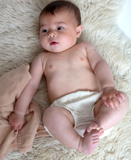 Gabriel Organic Cotton Baby Knickers In Ecru from Beaumont Organic