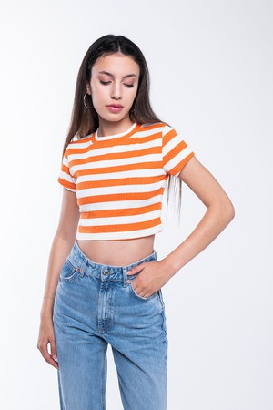 Ribbed Striped Crop T-Shirt from Bee & Alpaca