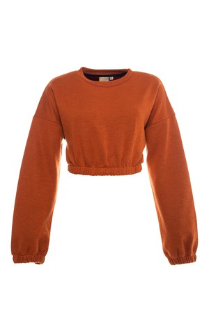 Fresh Crop Top Sweatshirt from Bee & Alpaca