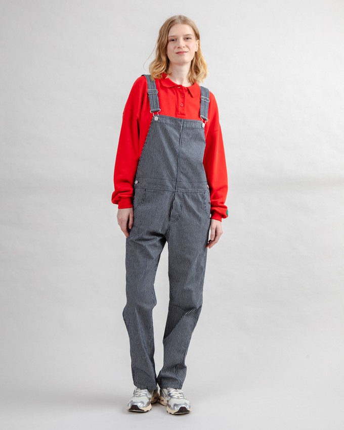 Denim Stripes Overall from Brava Fabrics