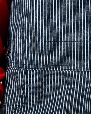 Denim Stripes Overall from Brava Fabrics