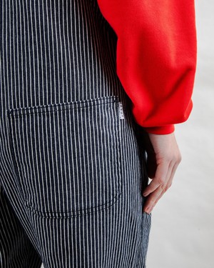Denim Stripes Overall from Brava Fabrics