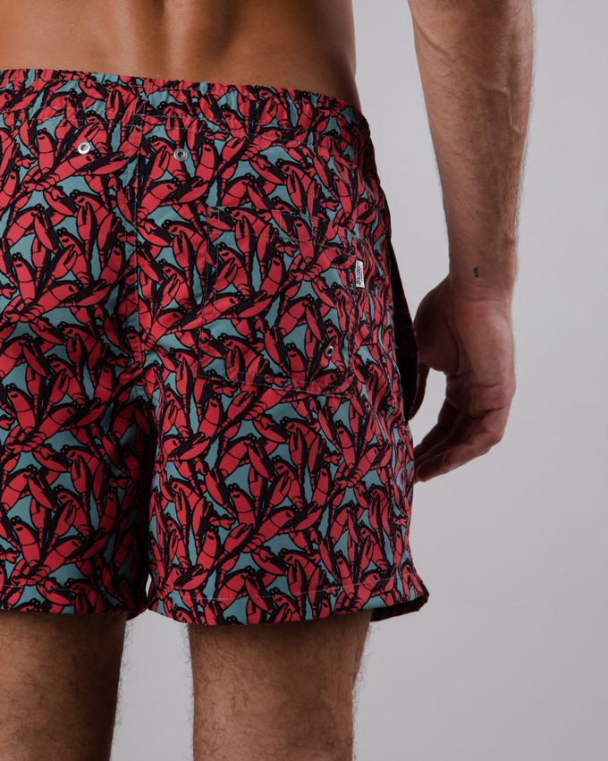 Lobster Swimwear Red from Brava Fabrics