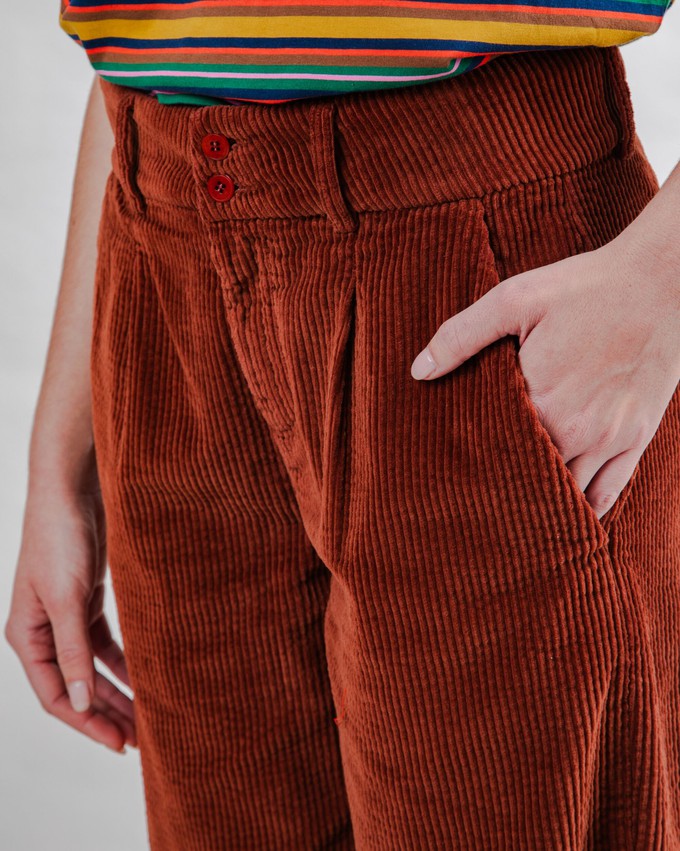 Corduroy Pleated Pants Copper from Brava Fabrics