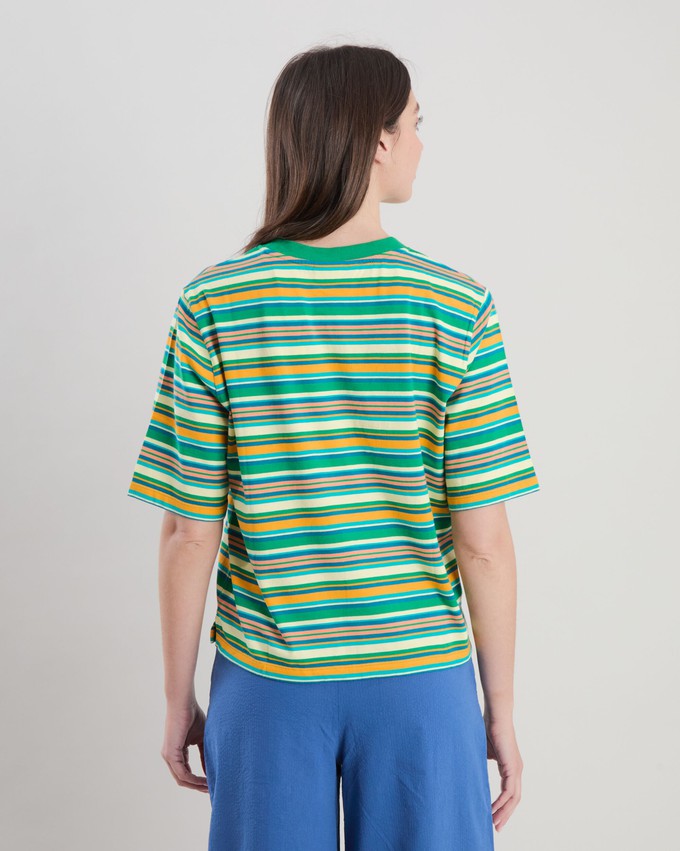 Stripes Boxy Tee Green from Brava Fabrics