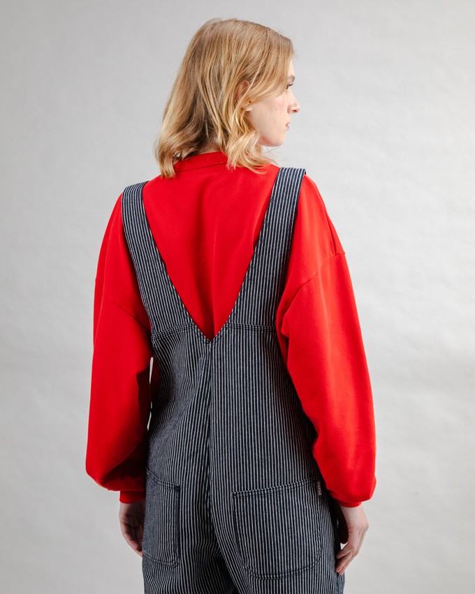 Denim Stripes Overall from Brava Fabrics