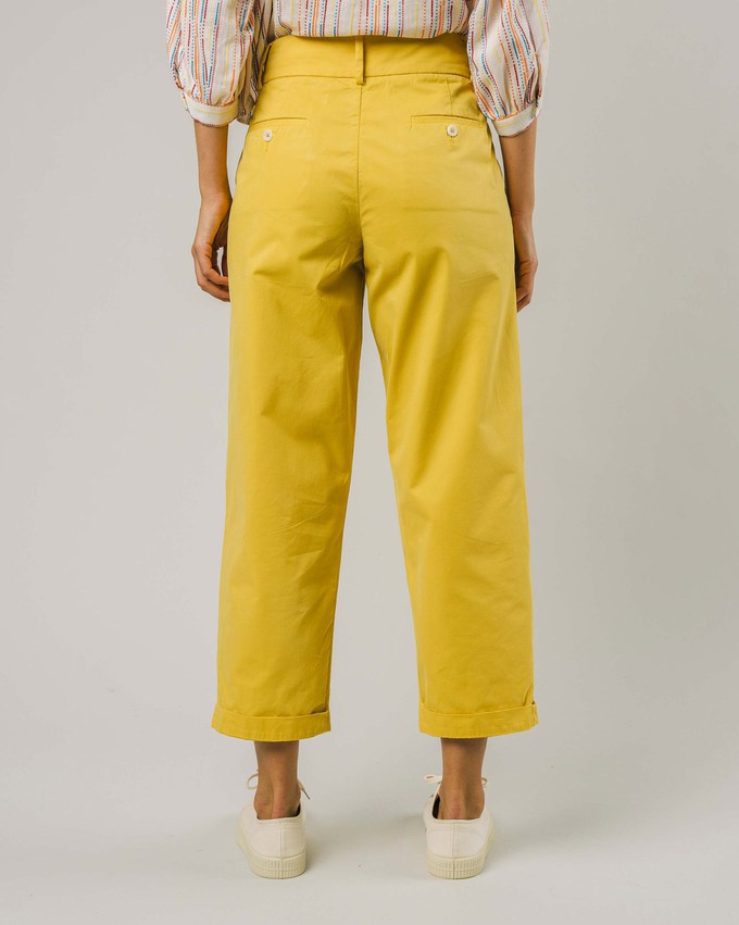 Voyage Pleated Pants Lemon from Brava Fabrics