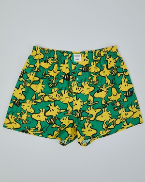 Peanuts Woodstock Boxer Green from Brava Fabrics