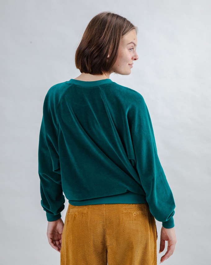Velvet Raglan Sweatshirt Green from Brava Fabrics