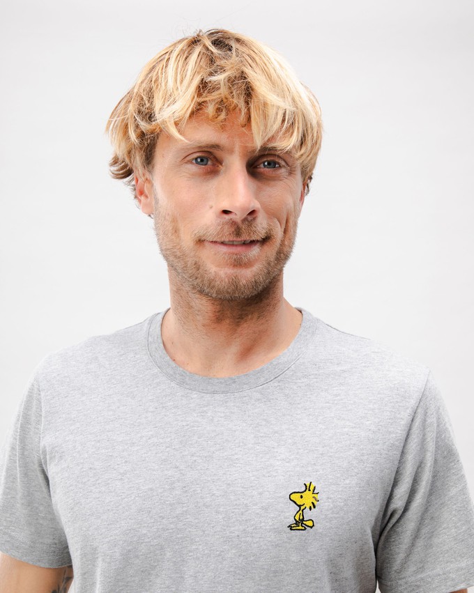 Peanuts Woodstock T-Shirt Grey from Brava Fabrics