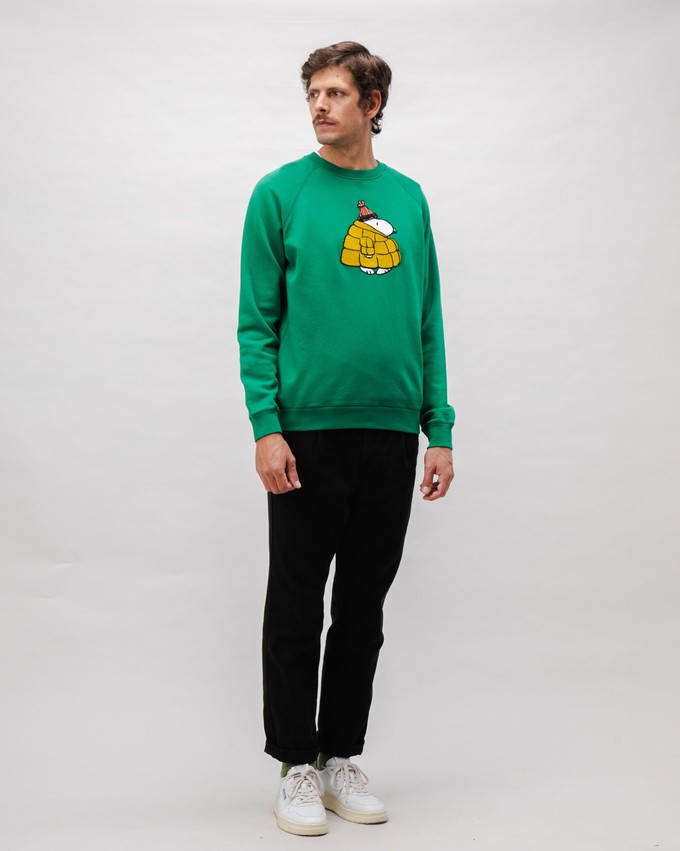 Peanuts Snow Cotton Sweatshirt Green from Brava Fabrics
