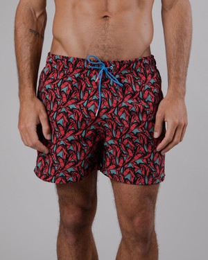 Lobster Swimwear Red from Brava Fabrics