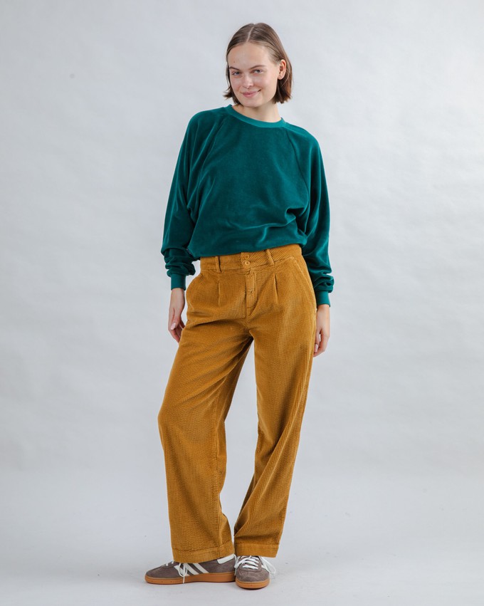 Velvet Raglan Sweatshirt Green from Brava Fabrics