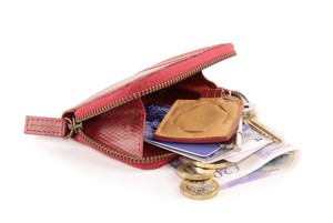 Pocket / Bag Organiser | Fire-hose from Elvis & Kresse