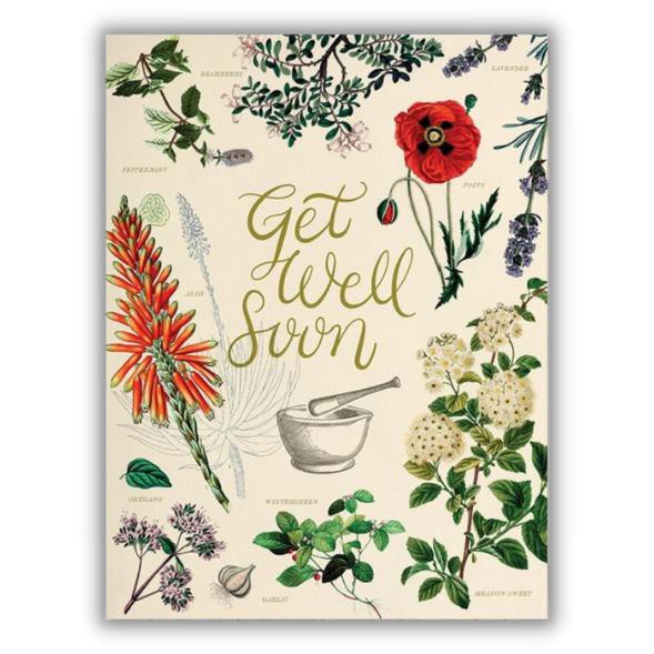 Greeting card medical herbs "Get well soon" from Fairy Positron