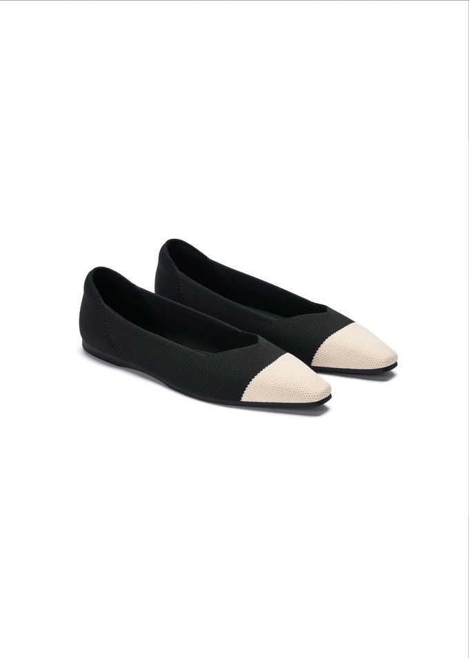 Celine Recycled Ballet Flats from GAÂLA