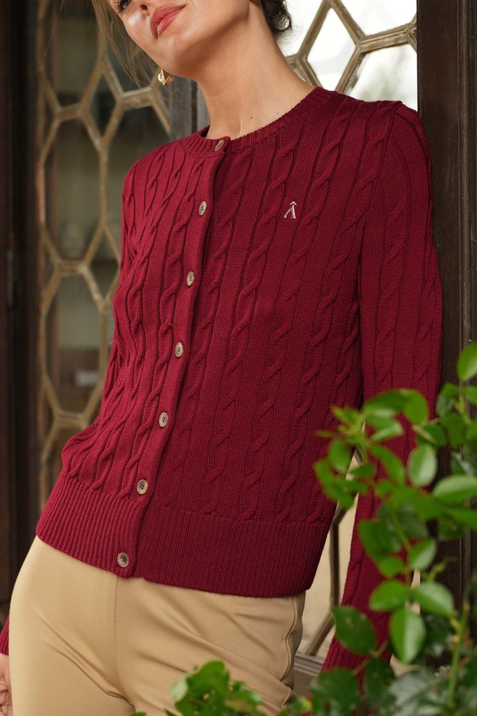 Vincent Wool Cardigan from GAÂLA