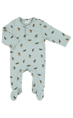 Onesie Peppy Penguin from Het Faire Oosten