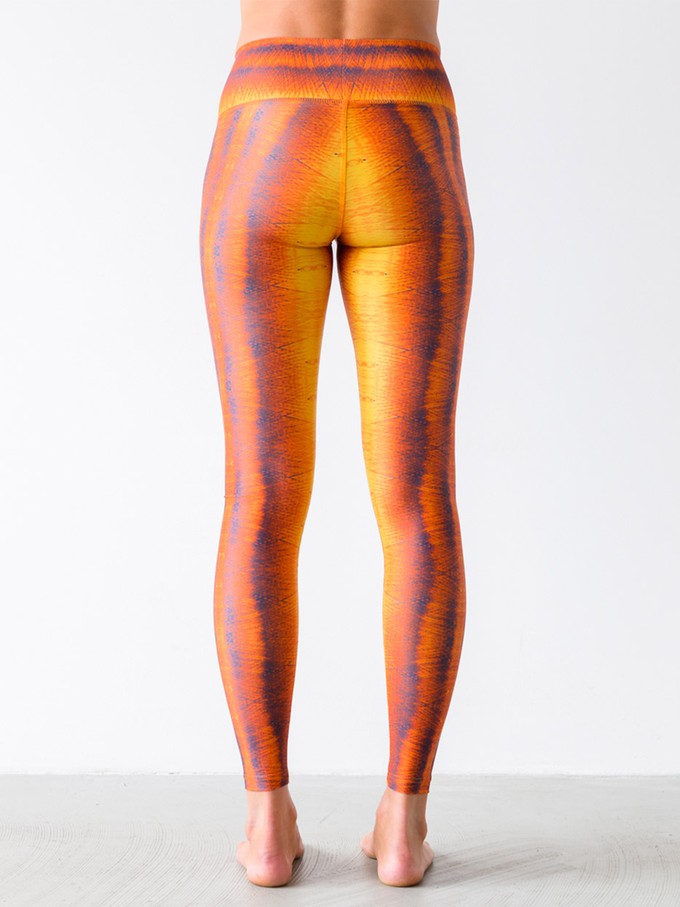 Yoga Pants Winddrawings Yellow from Hoessee