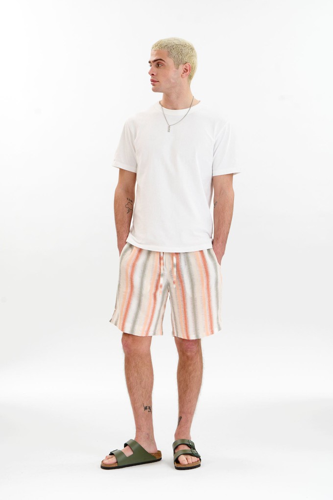 TOM Organic Cotton Short - stripe from KOMODO